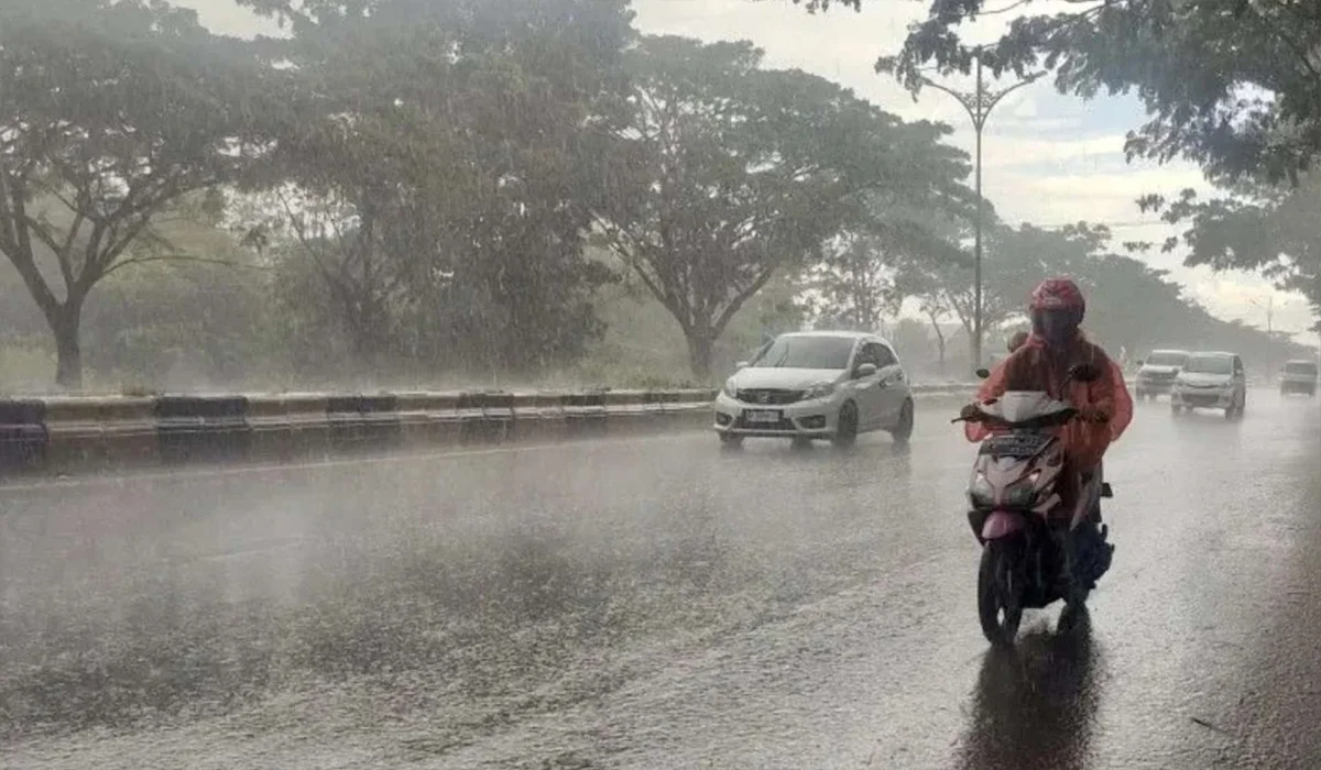 Penyebab-Pohon-Tumbang-dan-Kondisi-Cuaca