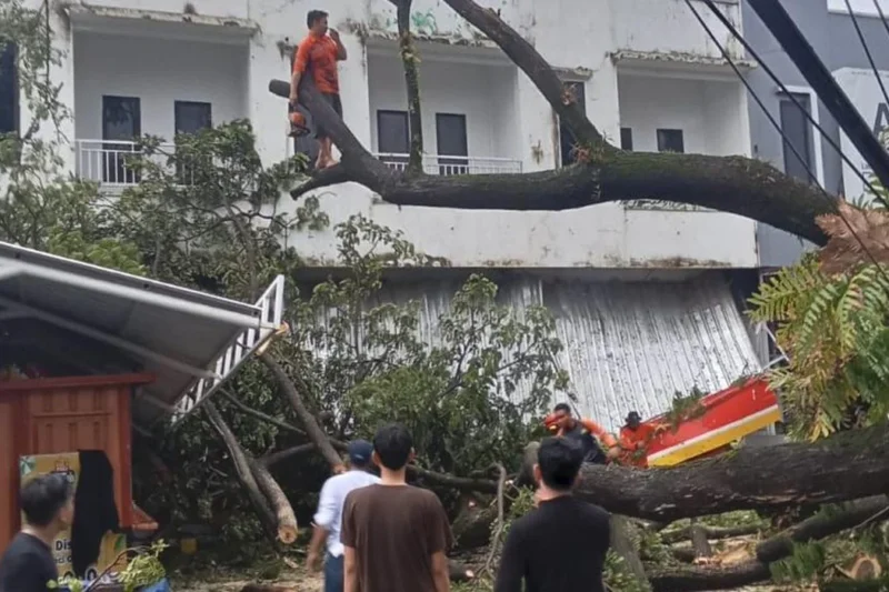 Pohon Besar Tumbang Menimpa Atap Minimarket dan Motor di Makassar
