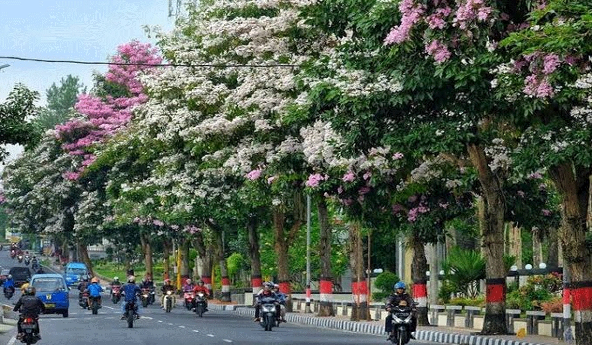 Gubernur Sulsel Ajak Pecinta Vespa Tanam Tabebuya Di Makassar