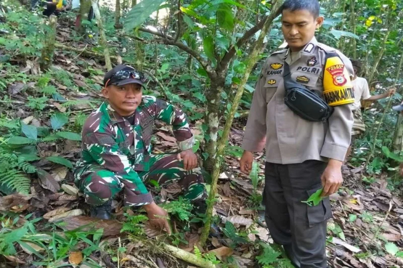 Kisah Mencekam di Gowa, Suami Terluka Usai Bunuh Istri