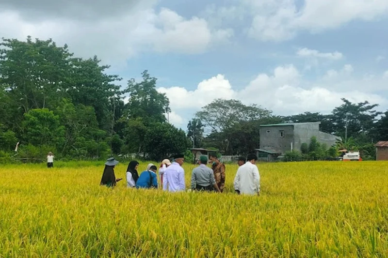 Efisiensi Anggaran Berbuah Hasil, Kemiskinan di Luwu Turun 0,73%