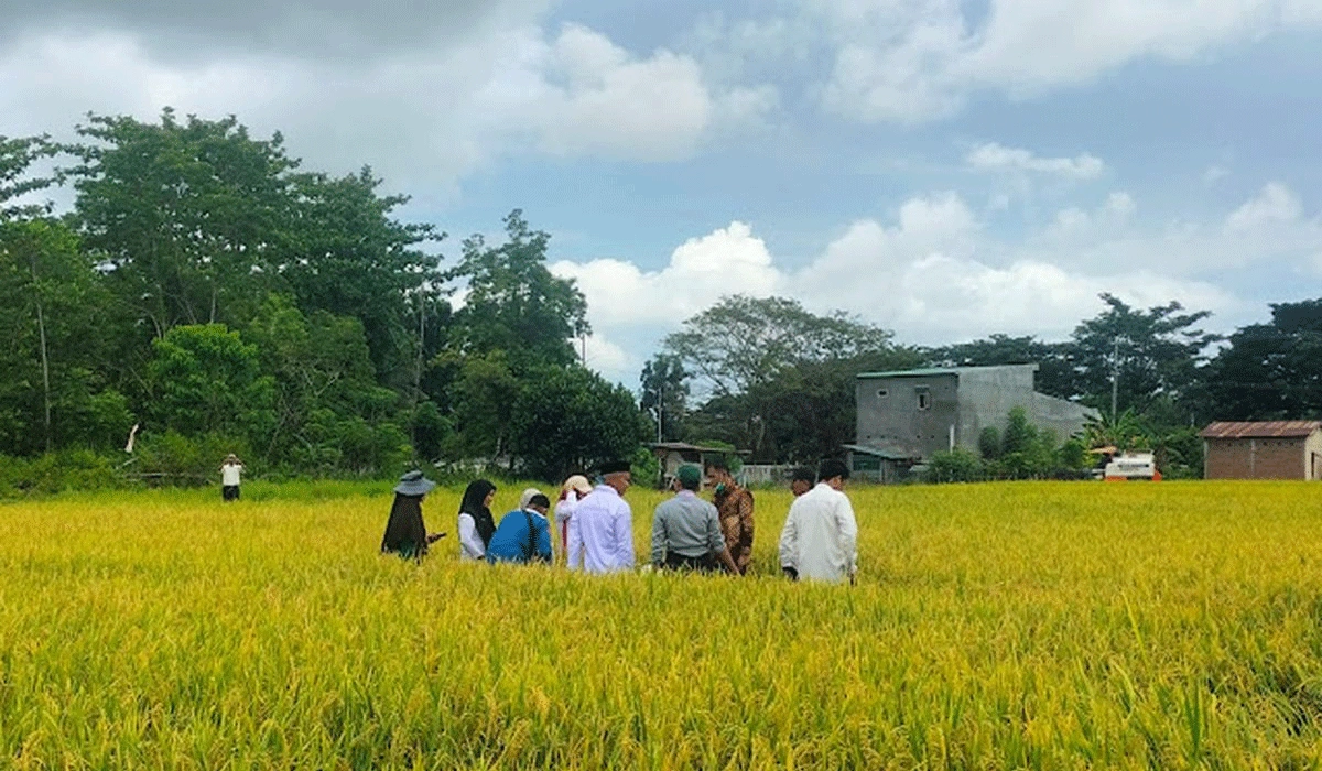 Efisiensi-Anggaran-Berbuah-Hasil,-Kemiskinan-di-Luwu-Turun-0,73%