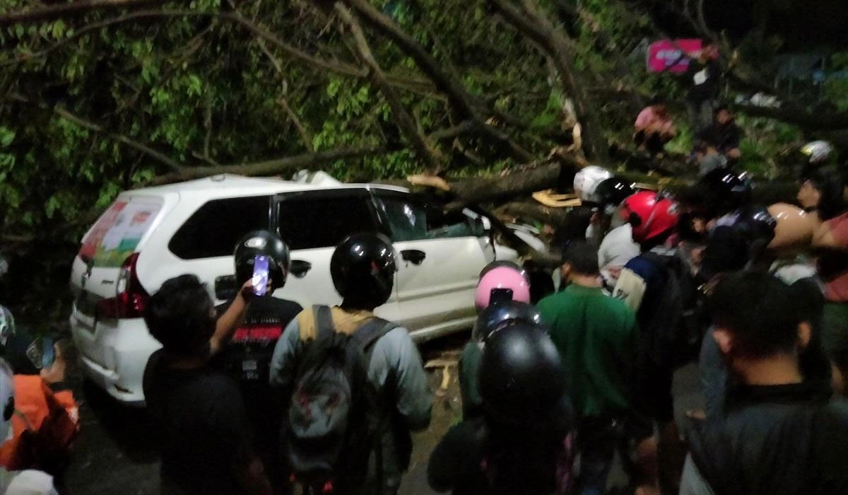 Jalan Urip Sumoharjo Makassar Macet Usai Pohon Tumbang Timpa Mobil