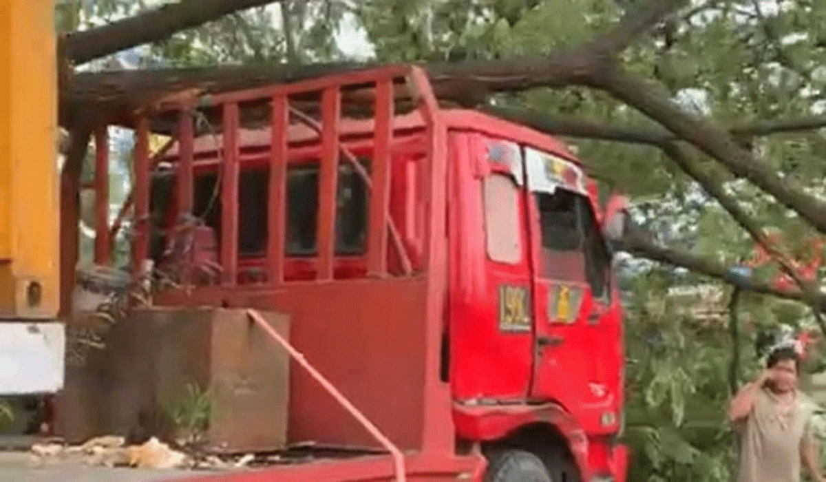 Truk Kontainer Hantam Pohon Di Jalan Perintis Makassar Lalu Lintas Jadi Macet