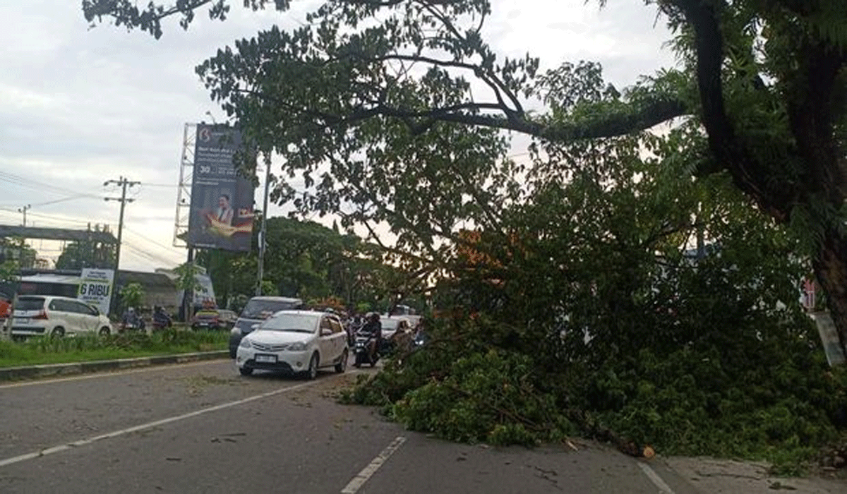 Truk Kontainer Hantam Pohon Di Jalan Perintis Makassar Lalu Lintas Jadi Macet