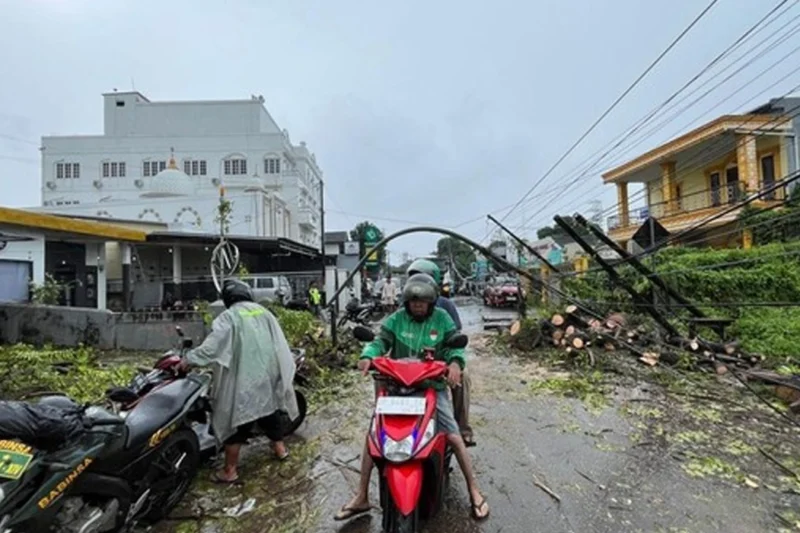 Pengendara Ojol Tertimpa Pohon Tumbang di Jalan Leimena Makassar