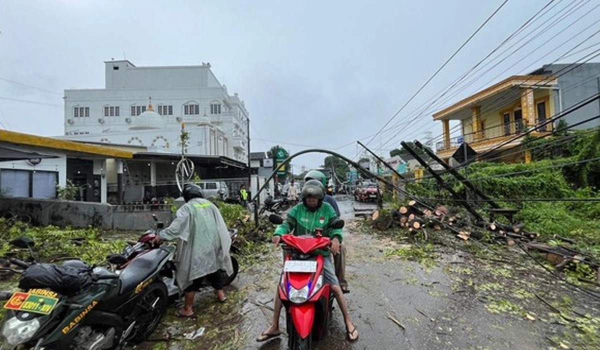 Pengendara Ojol Tertimpa Pohon Tumbang di Jalan Leimena Makassar